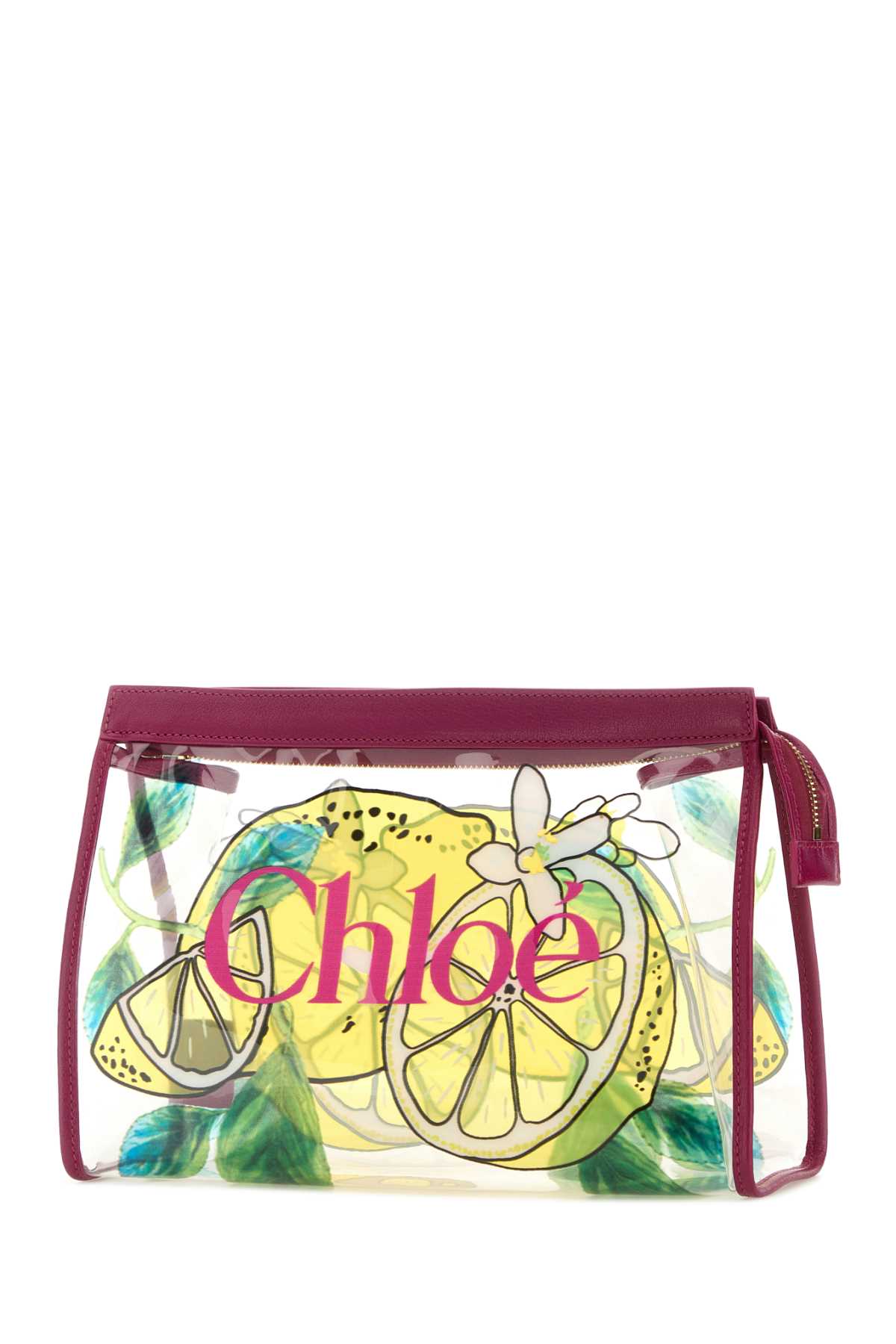 P784 - Chloé Soleil CLUTCHES