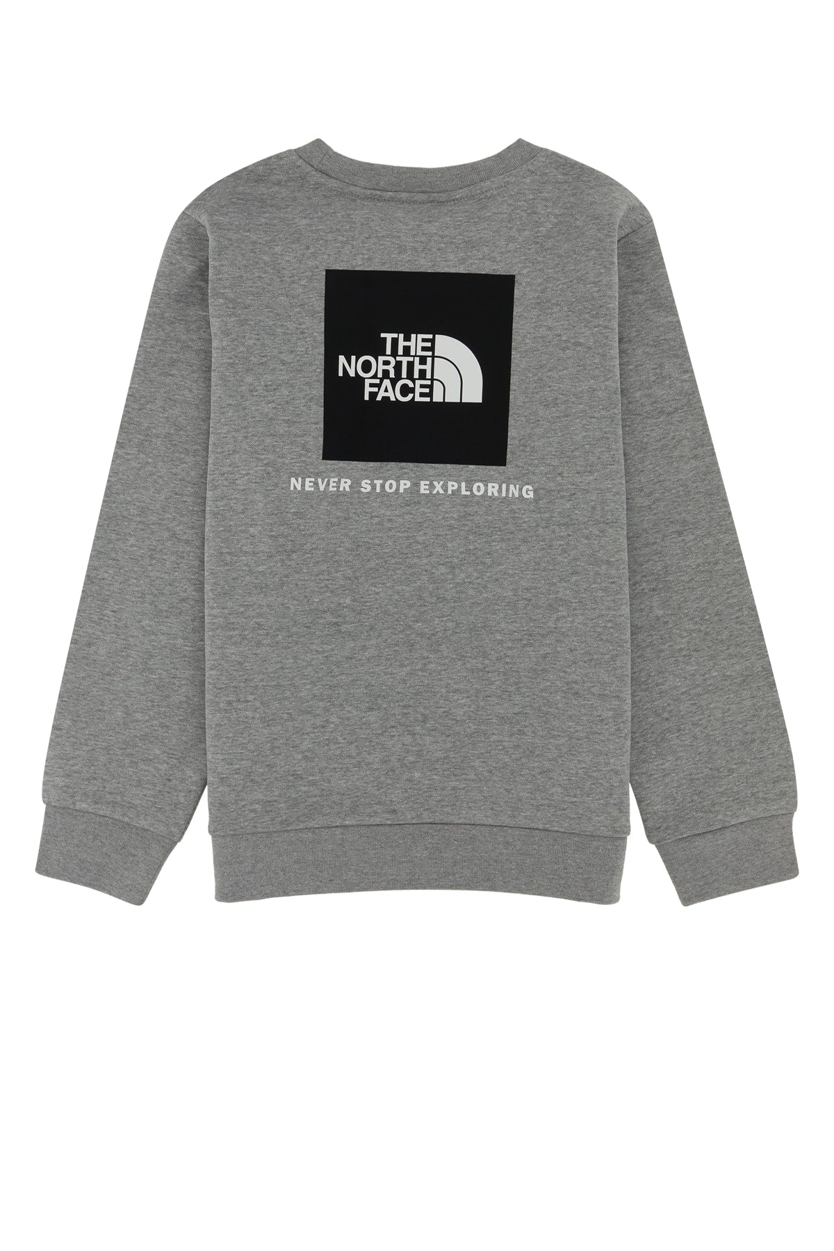 TEEN EVO BOX NSE CREW TNF P SWEATSHIRTS