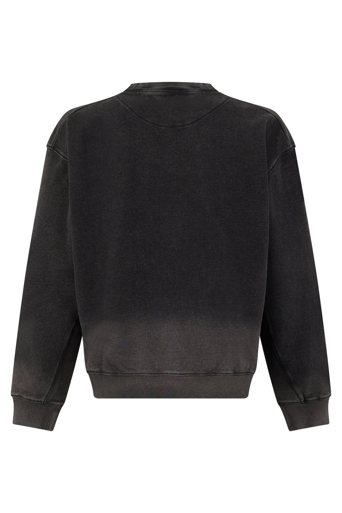 Crew neck sweater with shades RTW