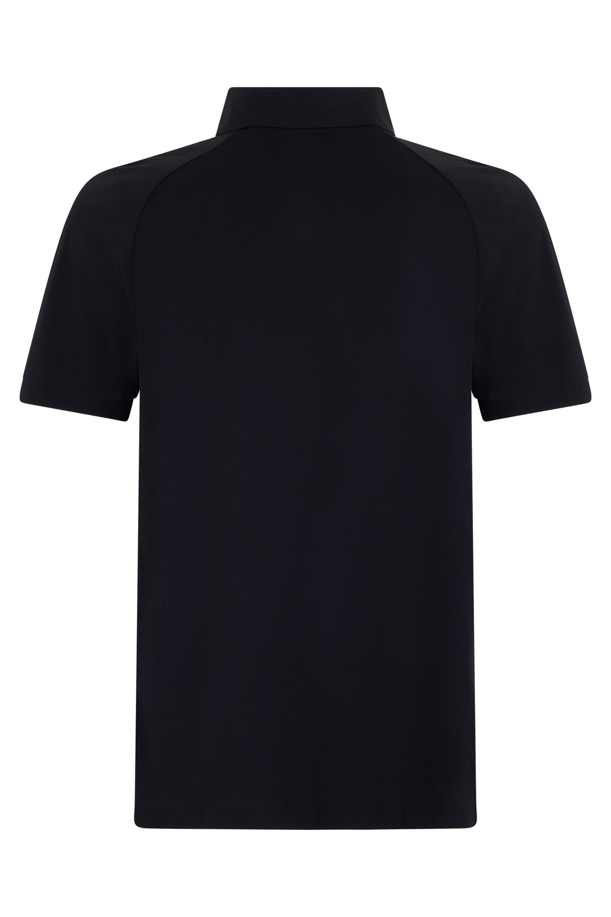 Cotton polo with short sleeves RTW