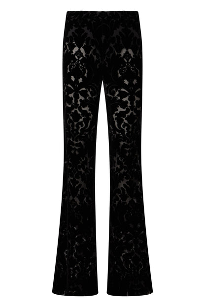Velour pants with floral print RTW