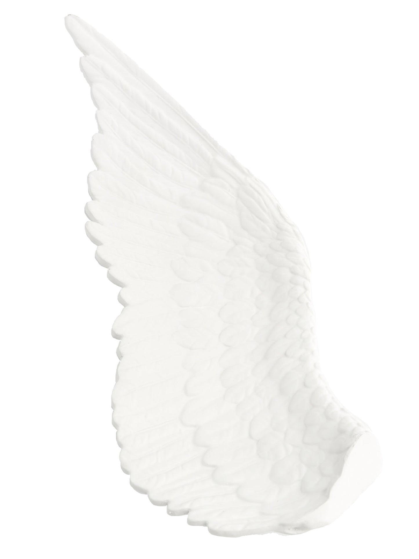 'Memorabiliamuseum - wings right' centerpiece Decorative accessories