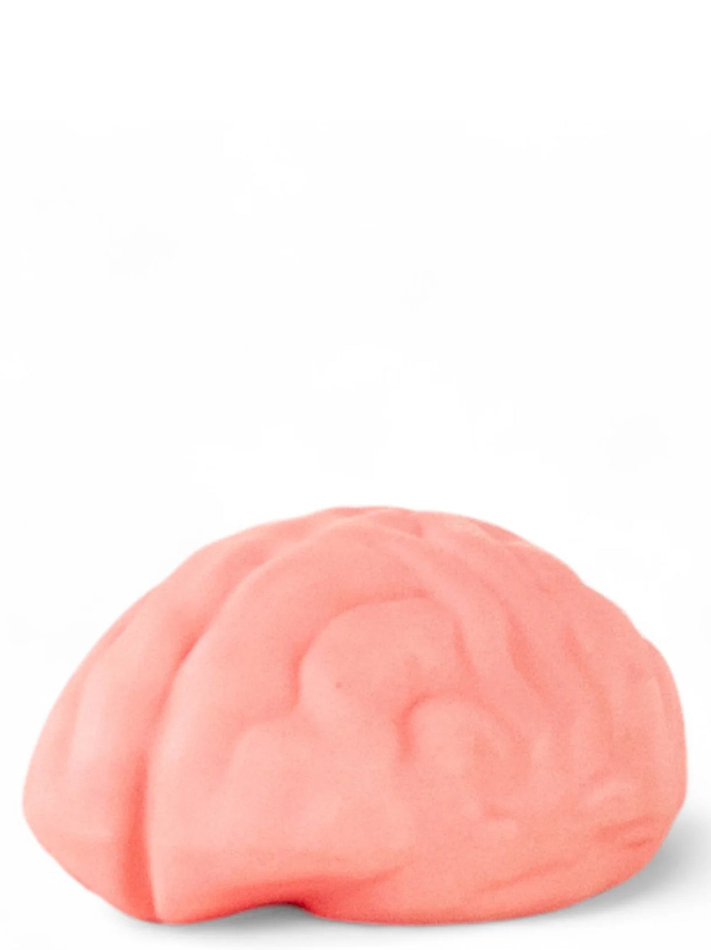 'Brainwash' soap dish Lifestyle accessories