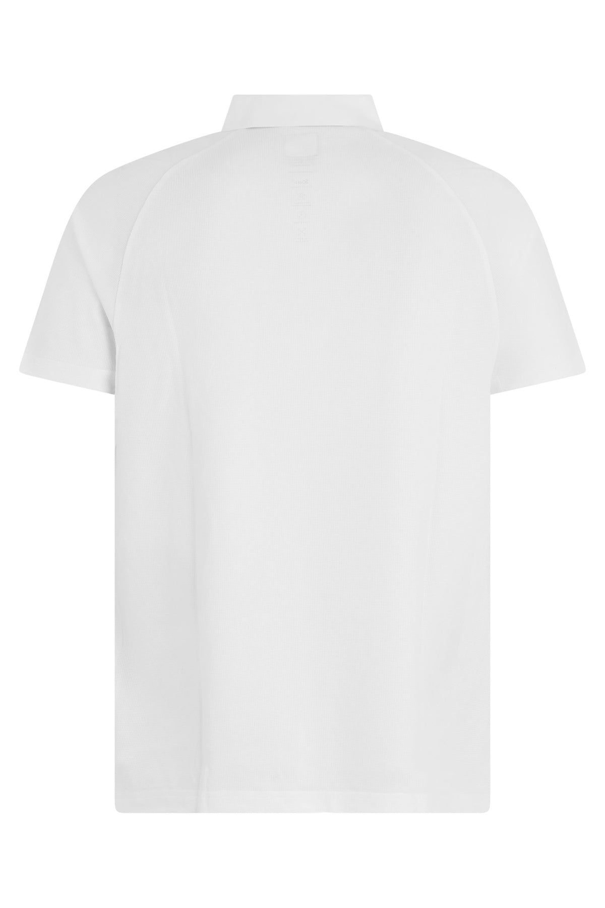 Cotton polo with short sleeves RTW