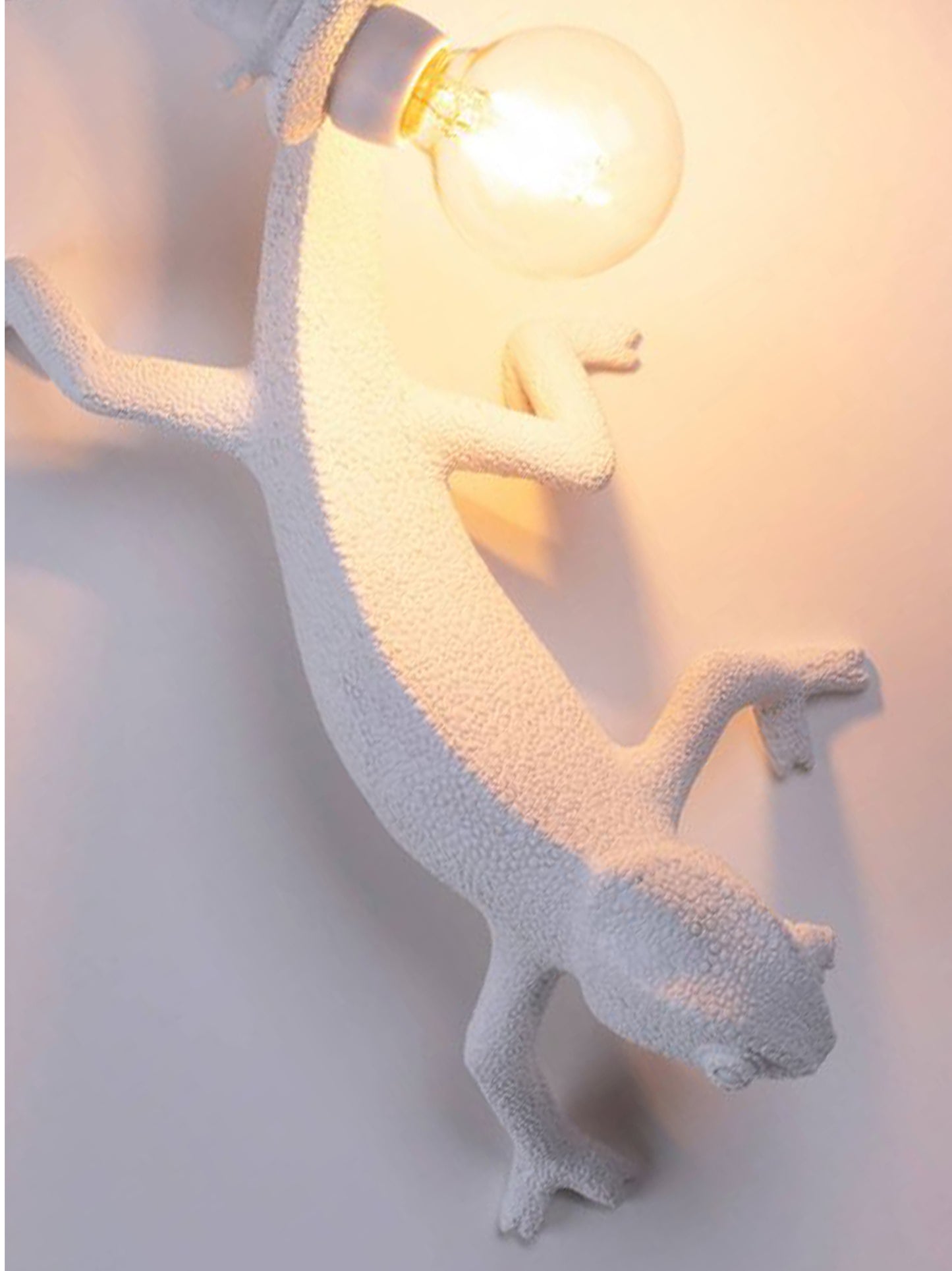 'Chameleon' lamp Lamps