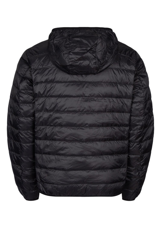 TRAIN CORE ID M DOWN LIGHT JACKET HOODIE CC JACKETS