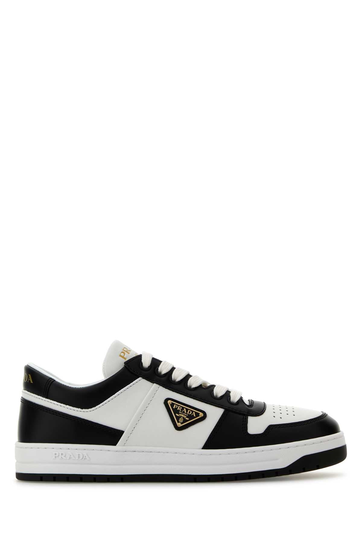 DOWNTOWN SNEAKERS