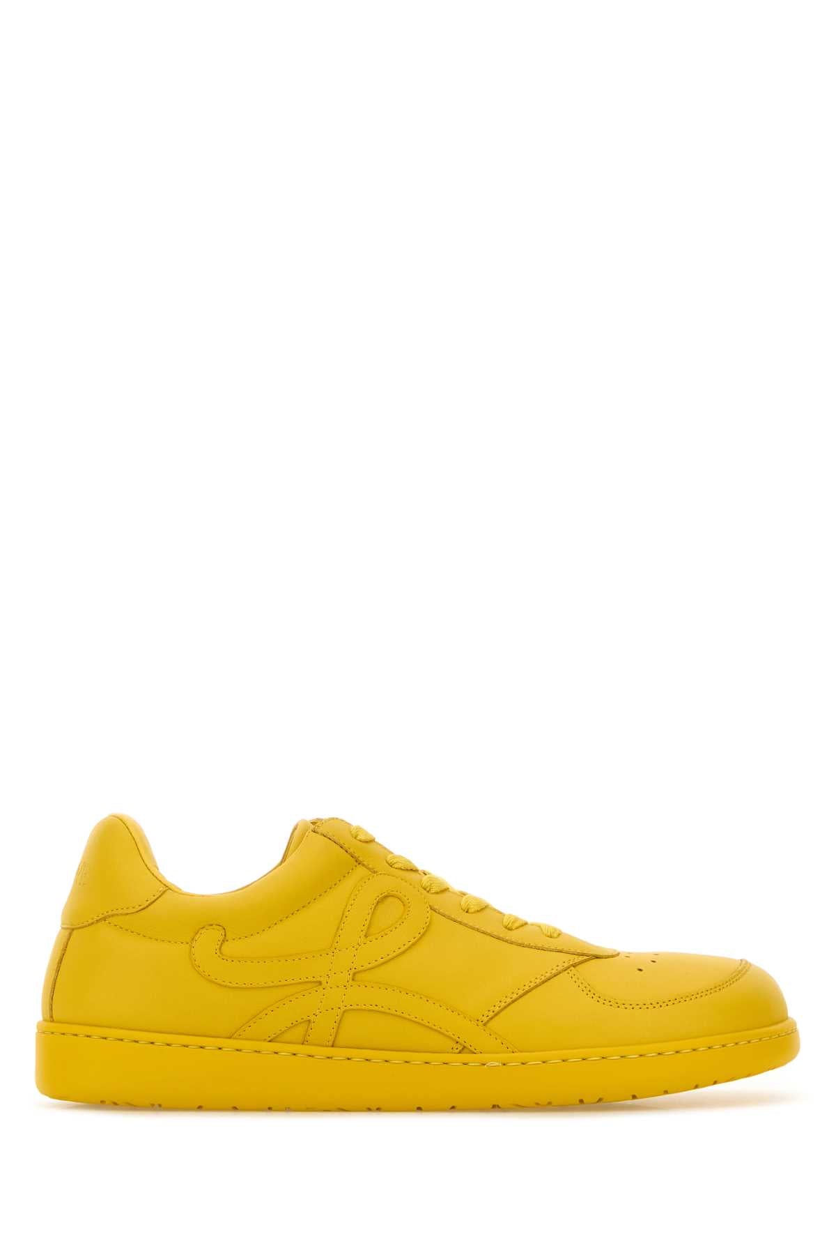 Loewe Jambo