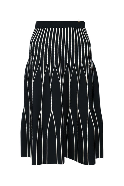 Elisabetta Franchi Skirt