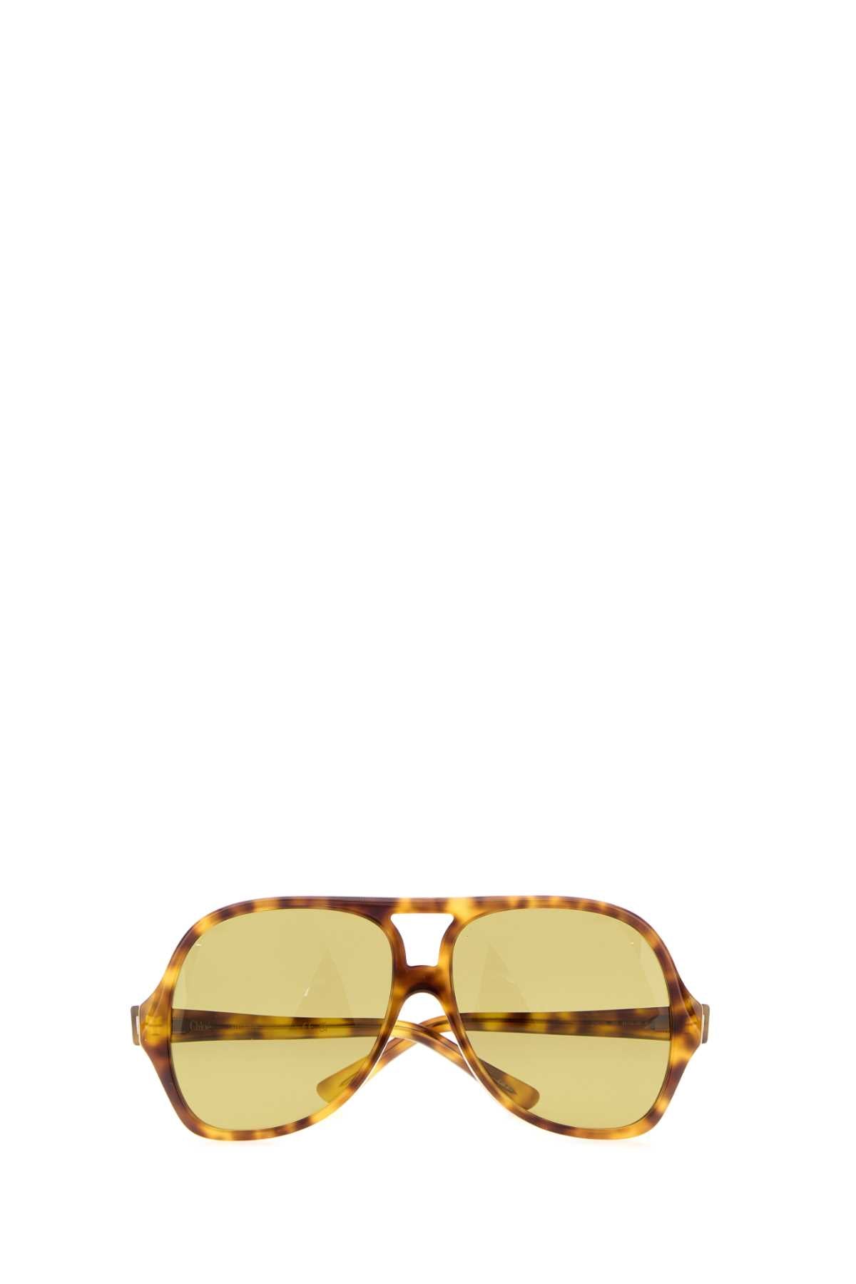 chloe-ch0289s00358-brown-1044955