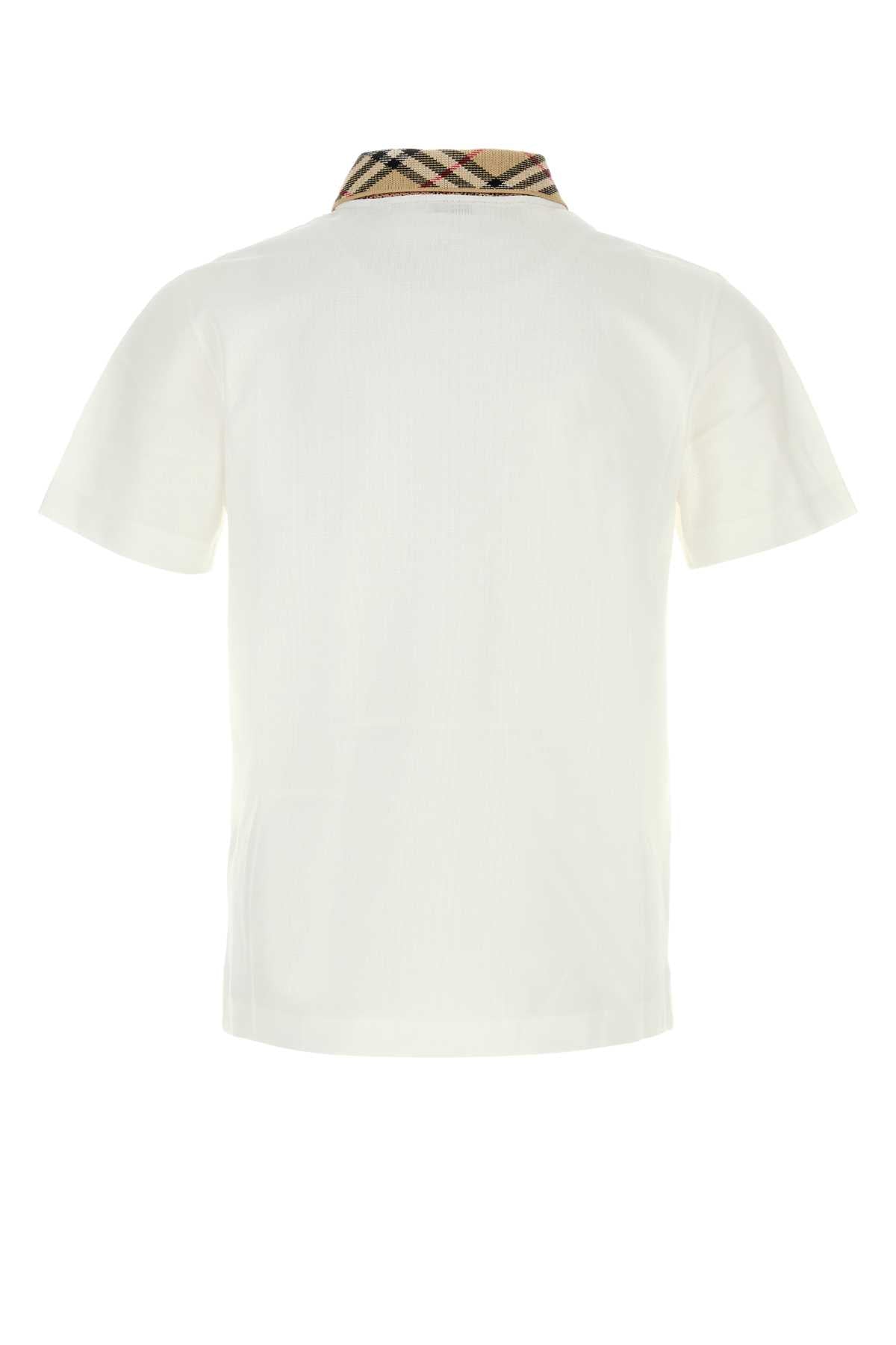 M:EVAN:121046:B7078 POLO