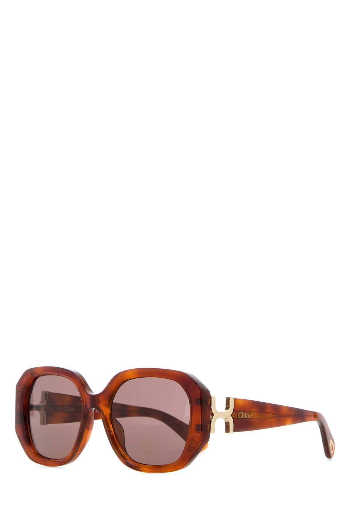 SUNGLASSES SUNGLASSES