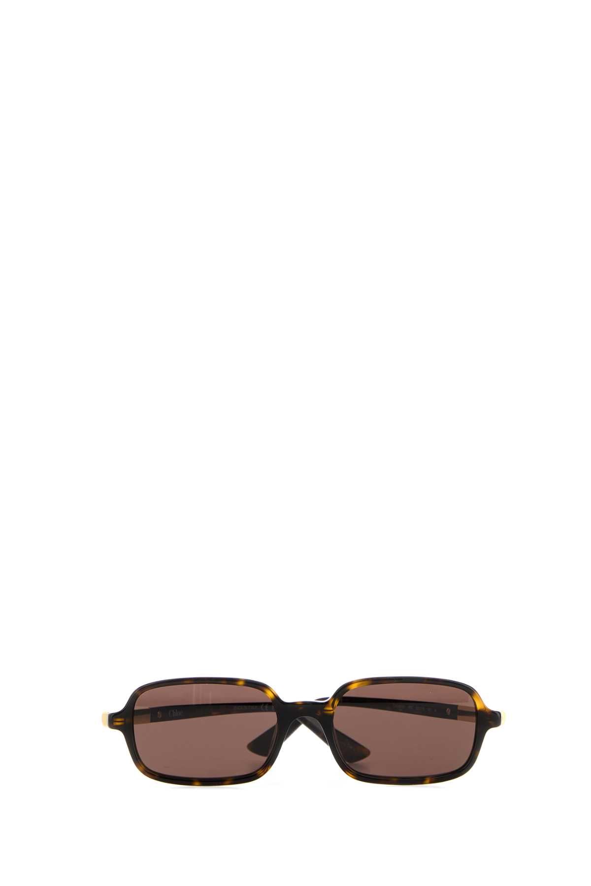 Chloe Sunglasses