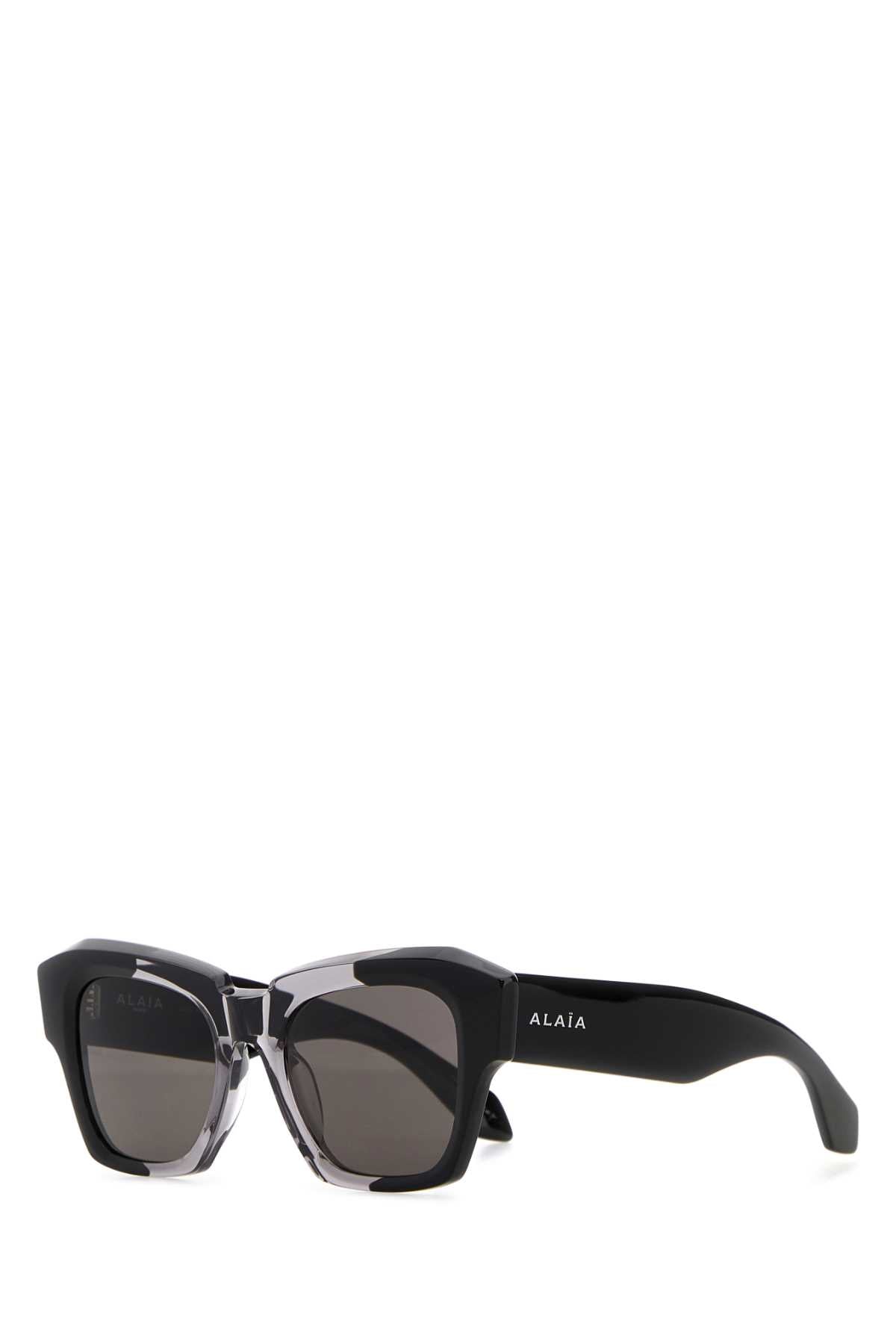 SUNGLASS SUNGLASSES