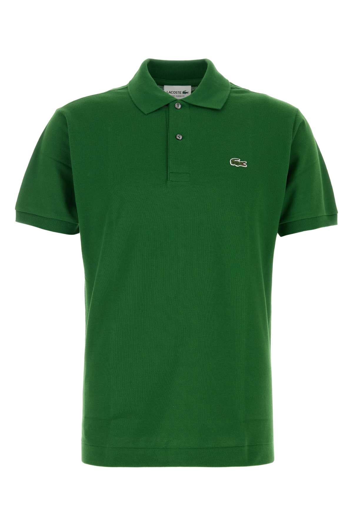 POLO POLO