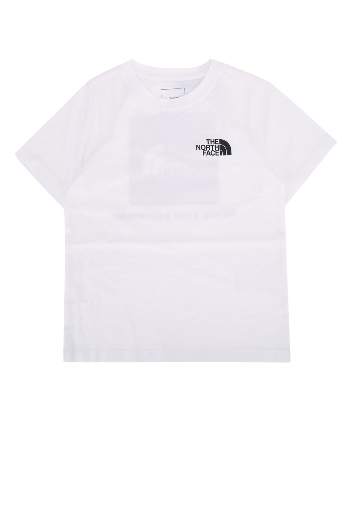 TEEN EVOLUTION BOX NSE SS TEE T-SHIRTS