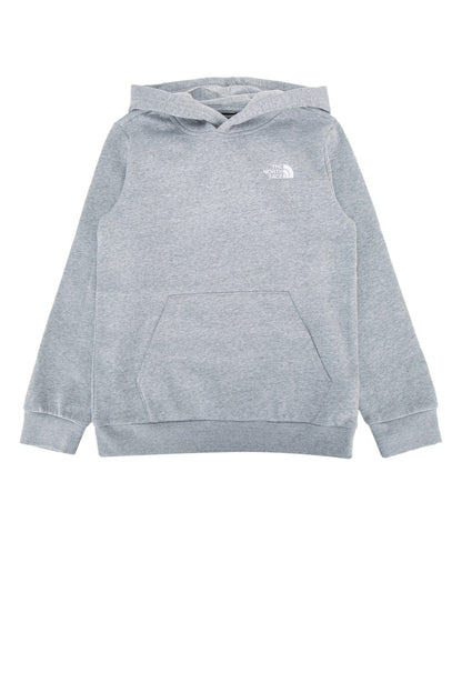 TEEN EVOLTN SD PO HDY SWEATSHIRTS