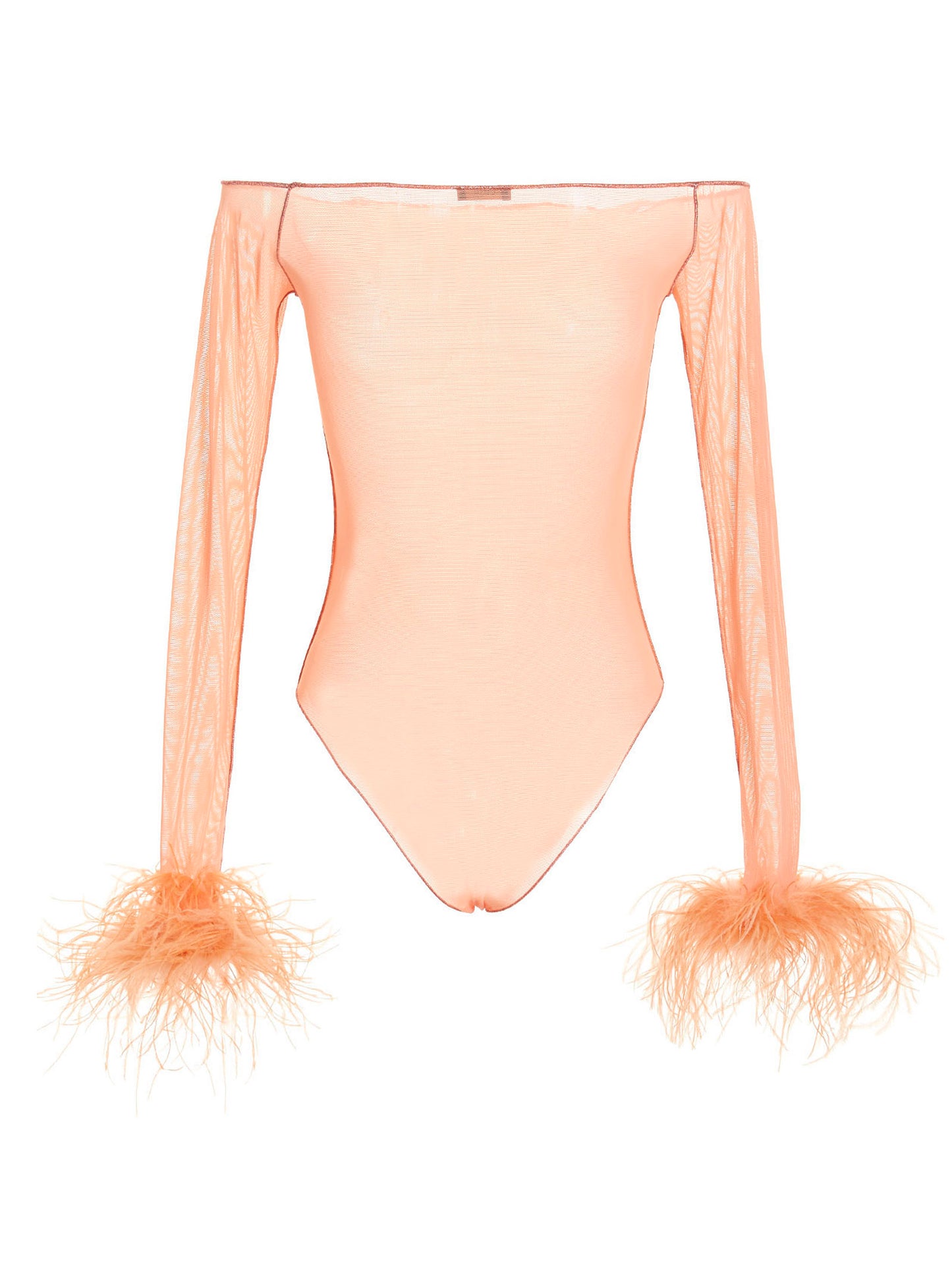 Feather transparent mesh bodysuit Underwear, body