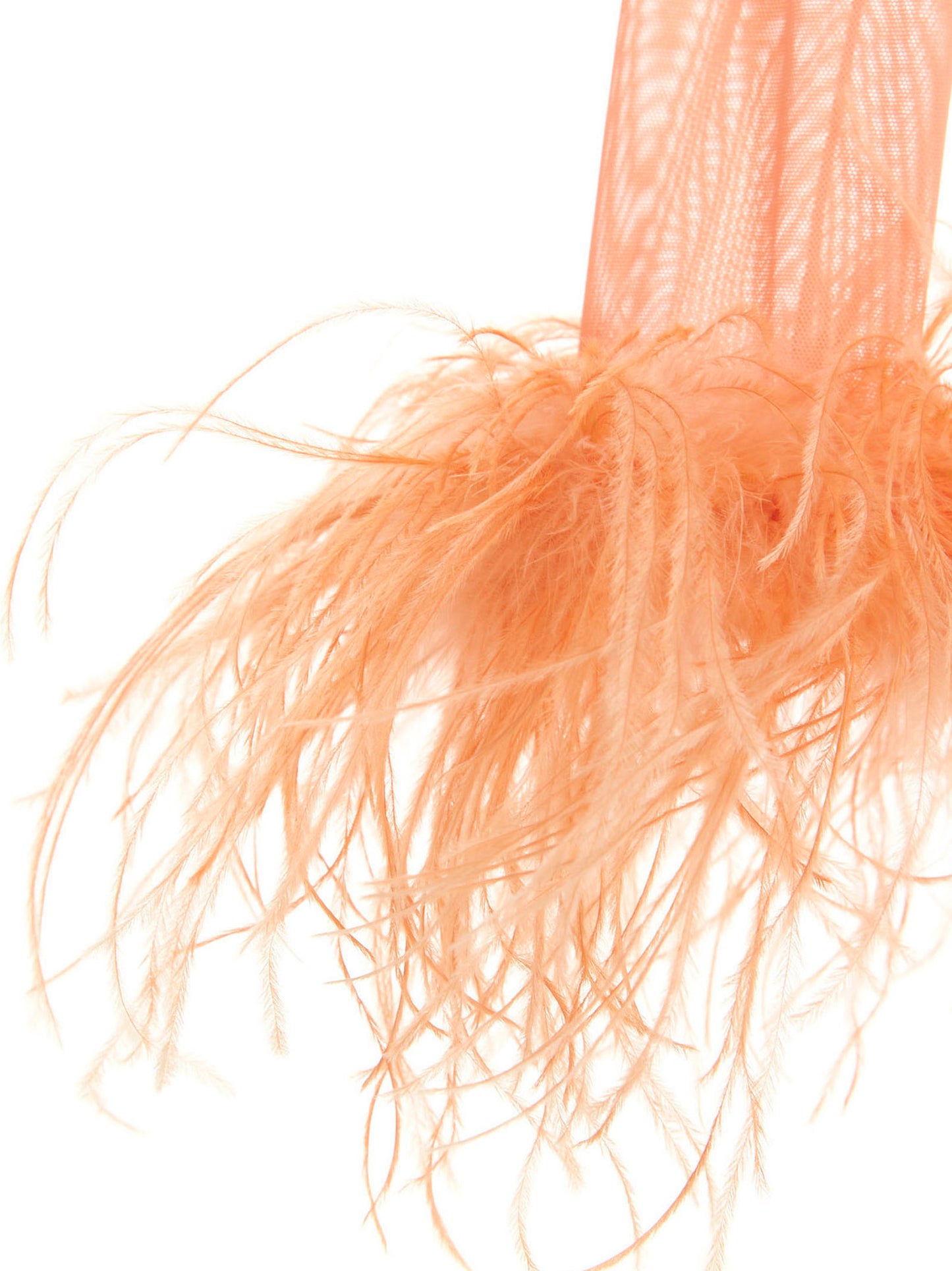 Feather transparent mesh bodysuit Underwear, body
