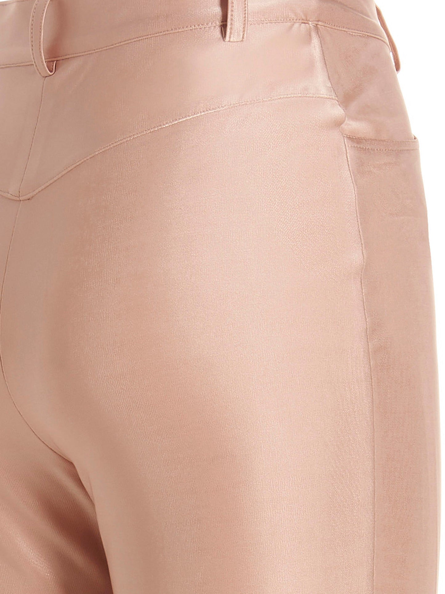 Shiny stretch pants Pants