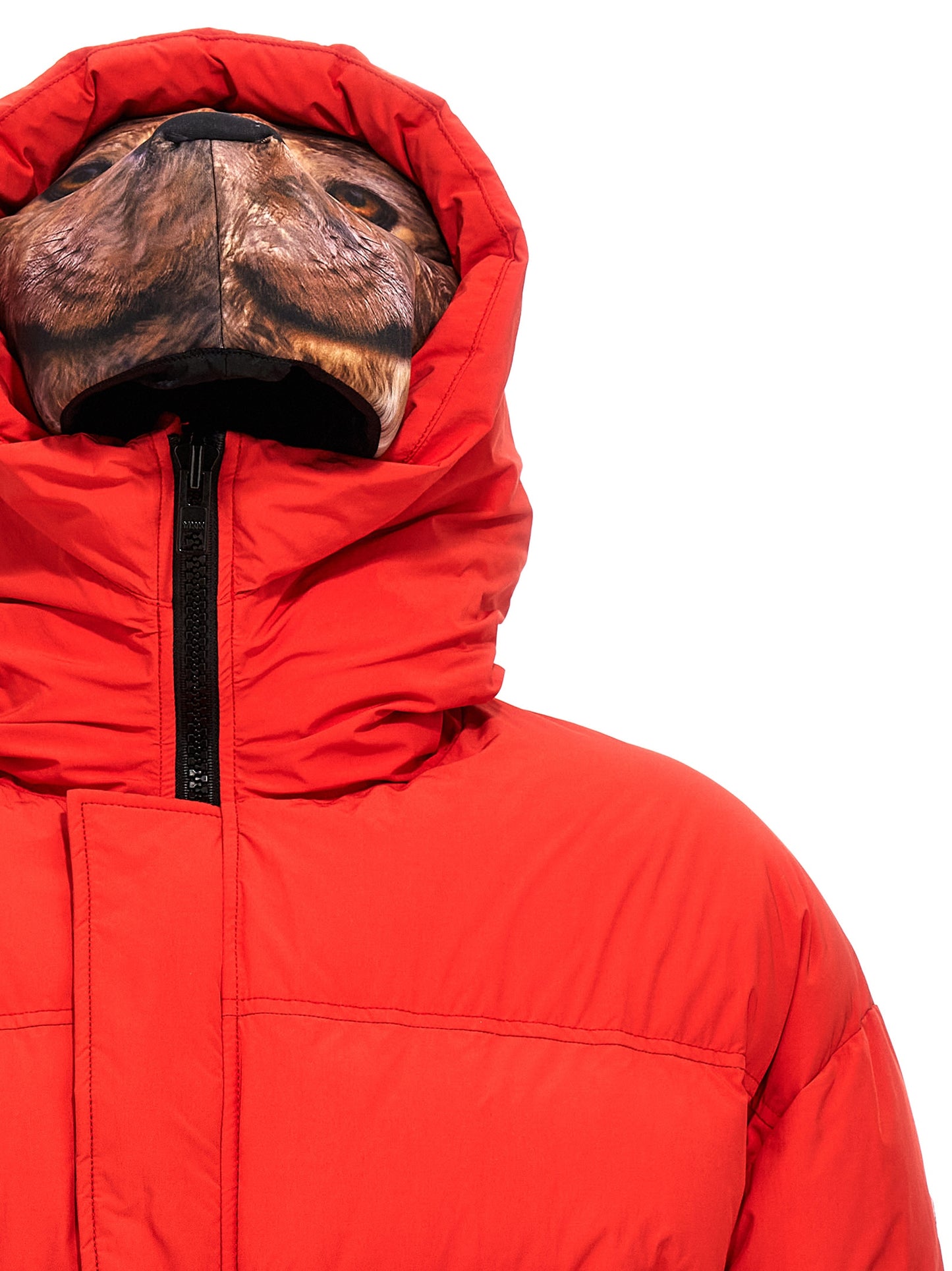 'Animal trim' down jacket Casual jackets, parka