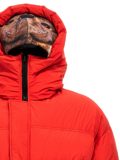 'Animal trim' down jacket Casual jackets, parka