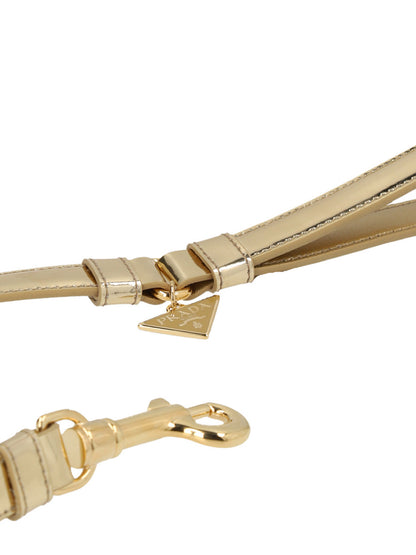Logo leather leash Pets accesories