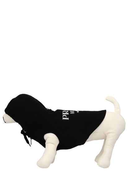 Pet hoodie Pets accesories