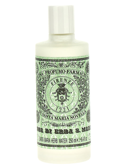 Water of Erba di S. Maria 250 ml Cura della persona