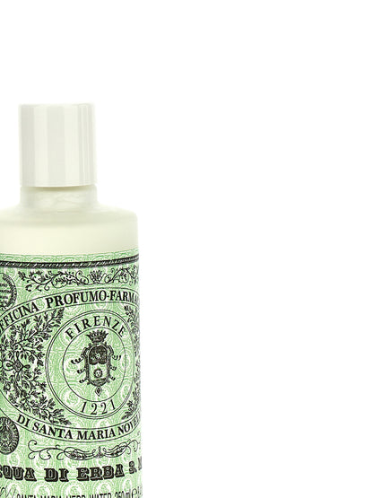 Water of Erba di S. Maria 250 ml Cura della persona
