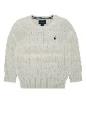 Polo Ralph Lauren Sweater