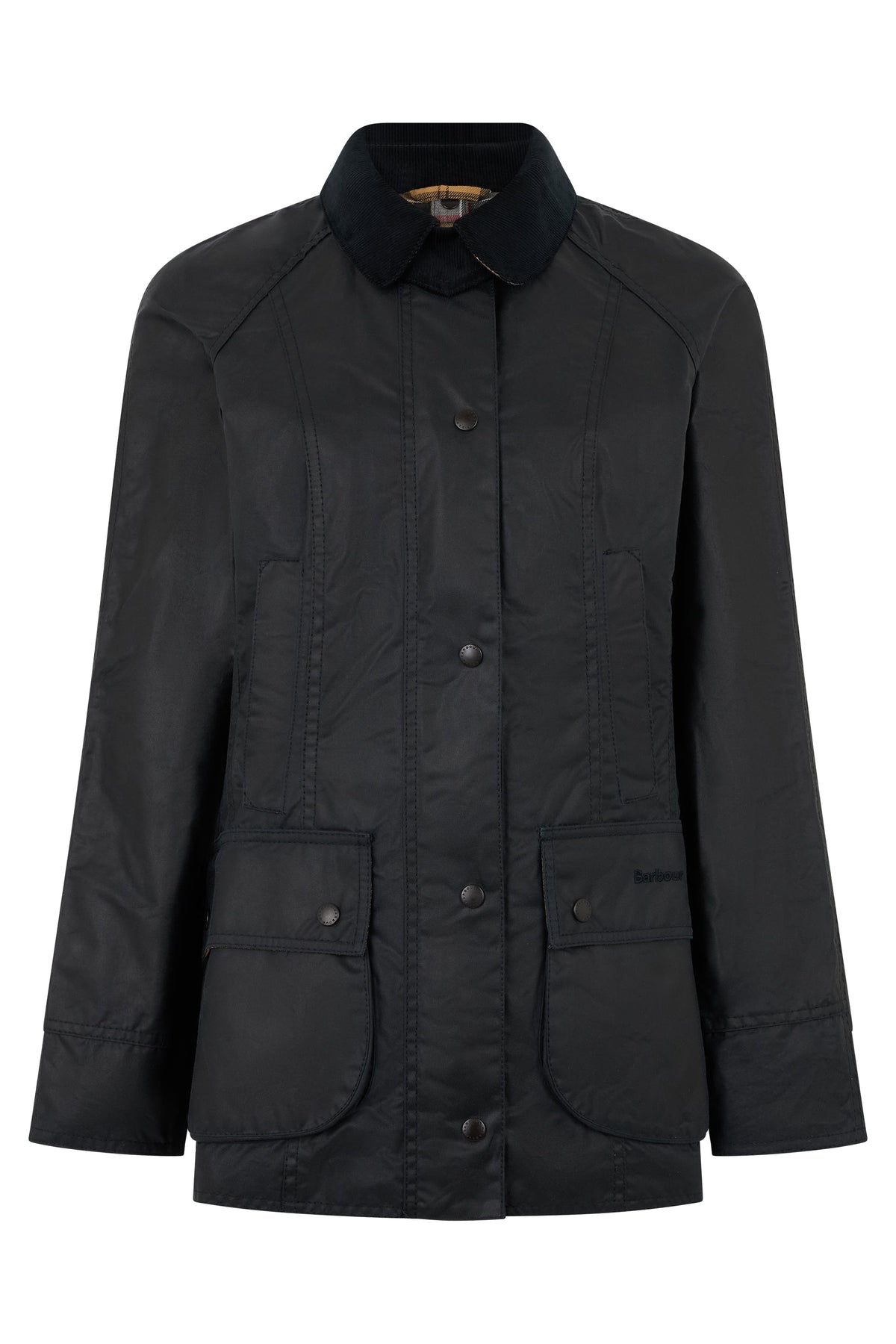 Light jacket in coated cotton RTW