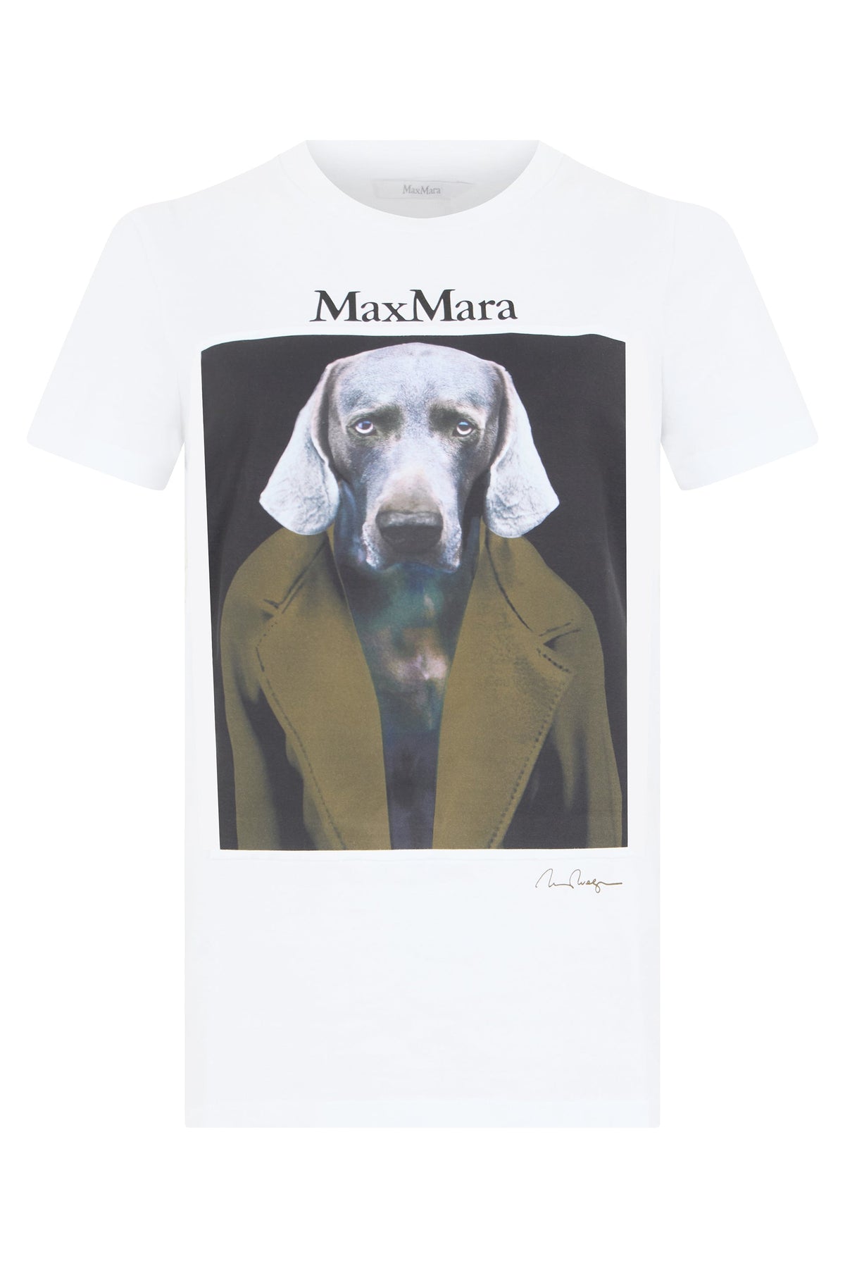 Printed cotton T-shirt RTW