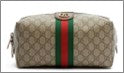 Gucci Beauty case