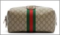 Gucci Beauty case