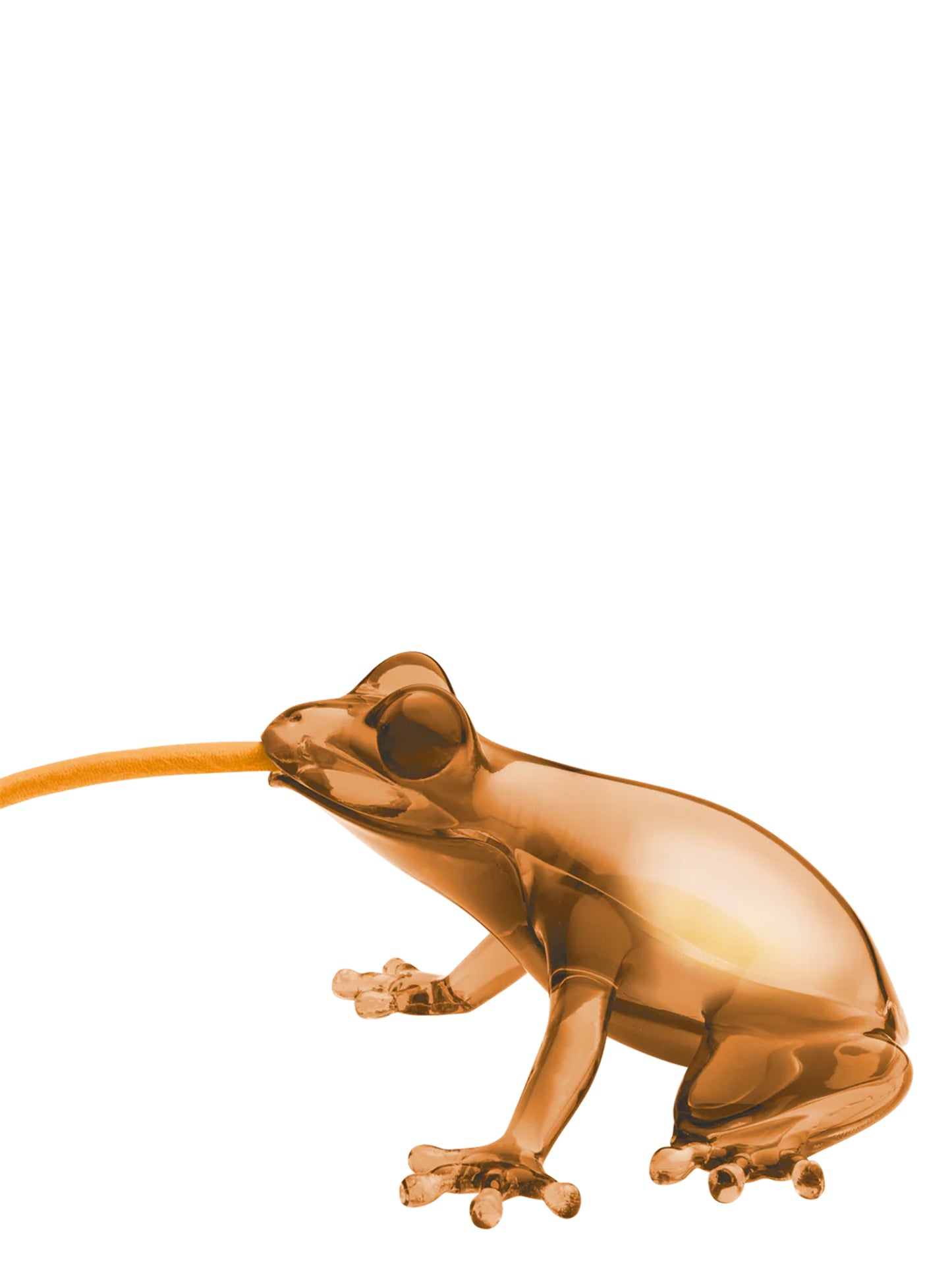 'Hungry Frog' lamp Lamps