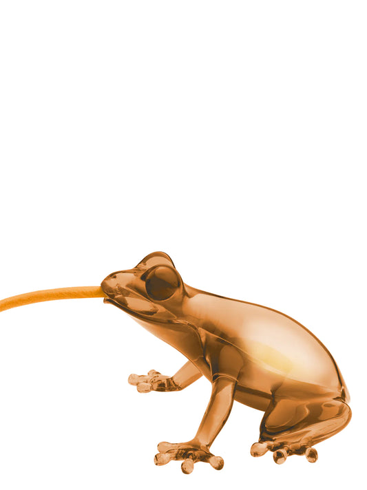 'Hungry Frog' lamp Lamps