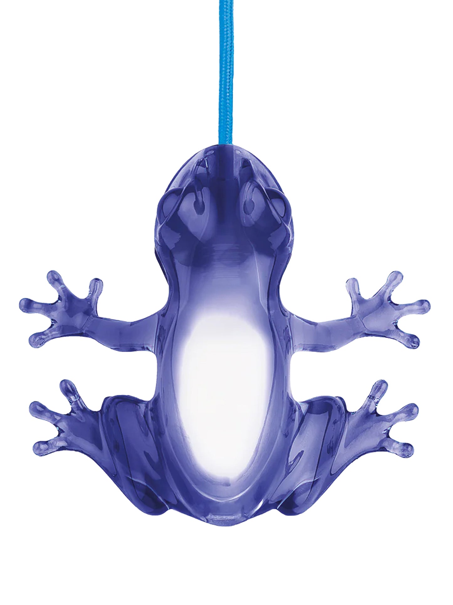 'Hungry Frog' lamp Lamps