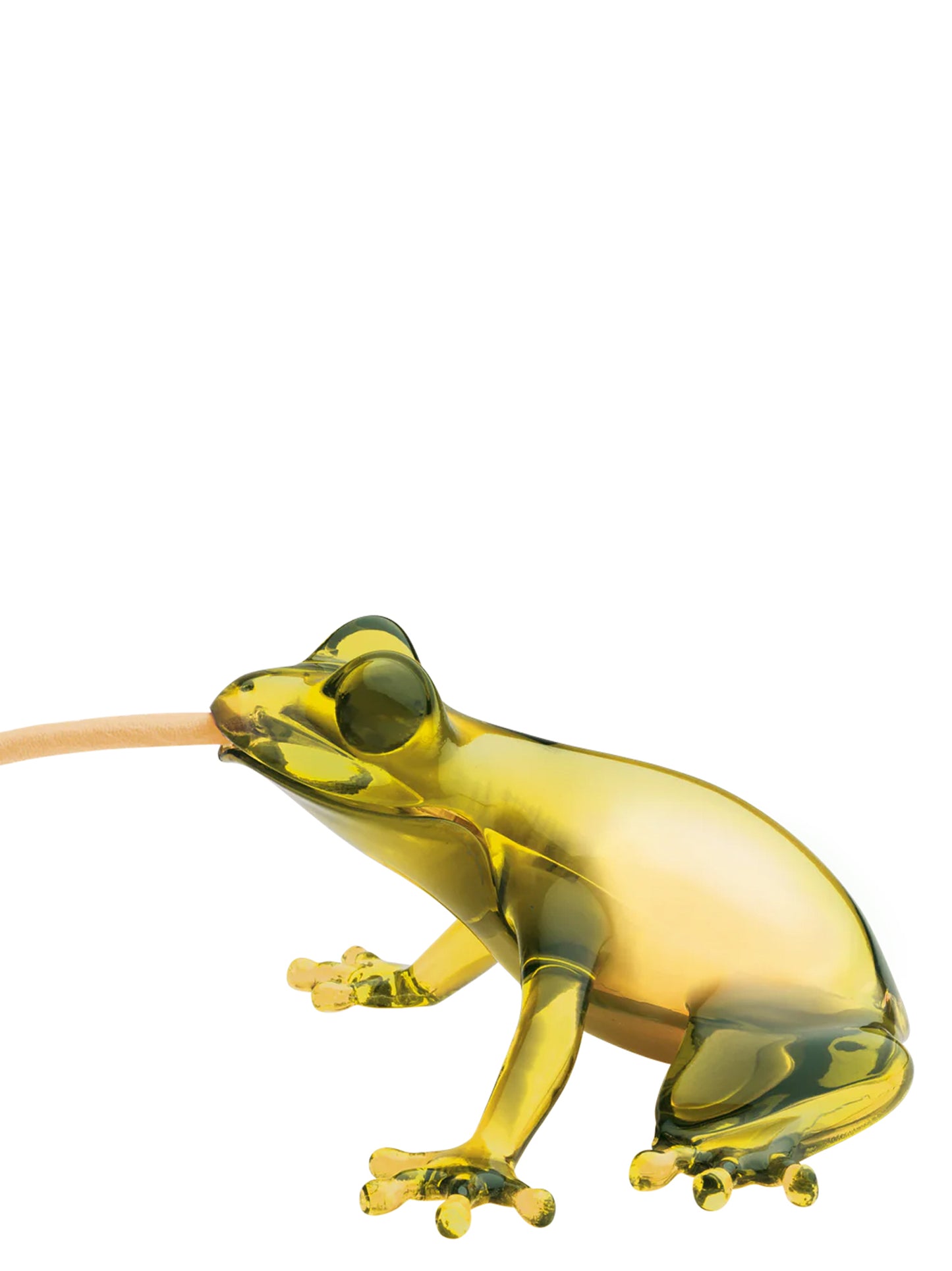 'Hungry Frog' lamp Lamps