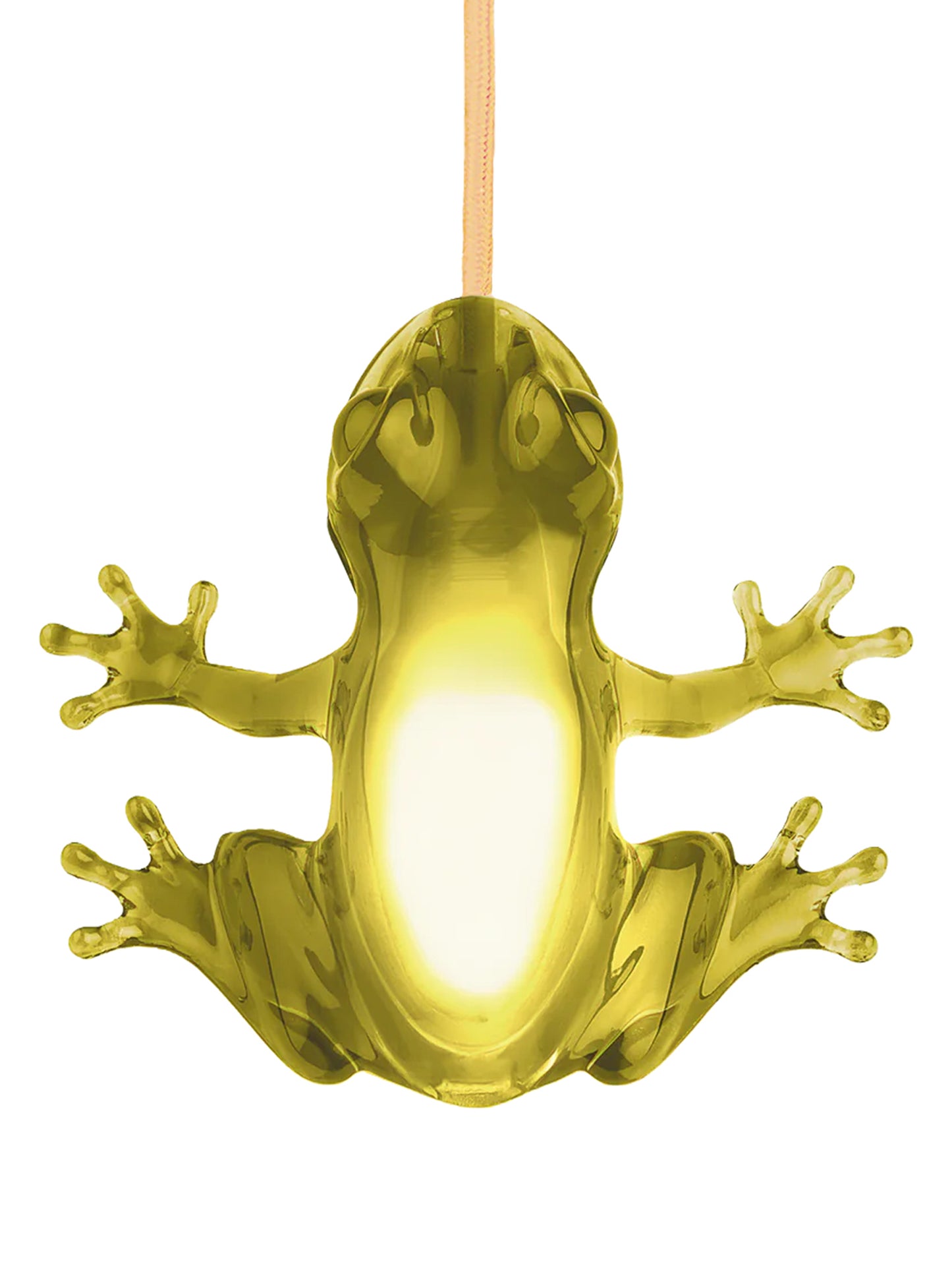 'Hungry Frog' lamp Lamps