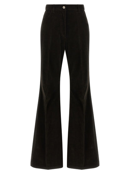Velvet pants  Pants