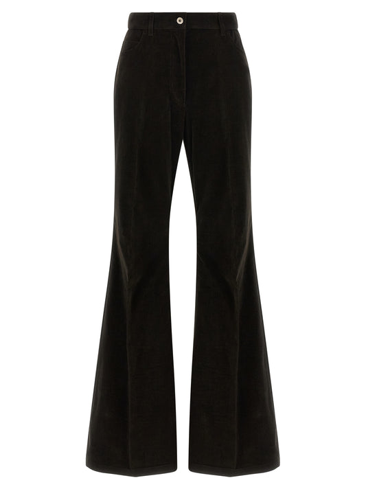 Velvet pants  Pants