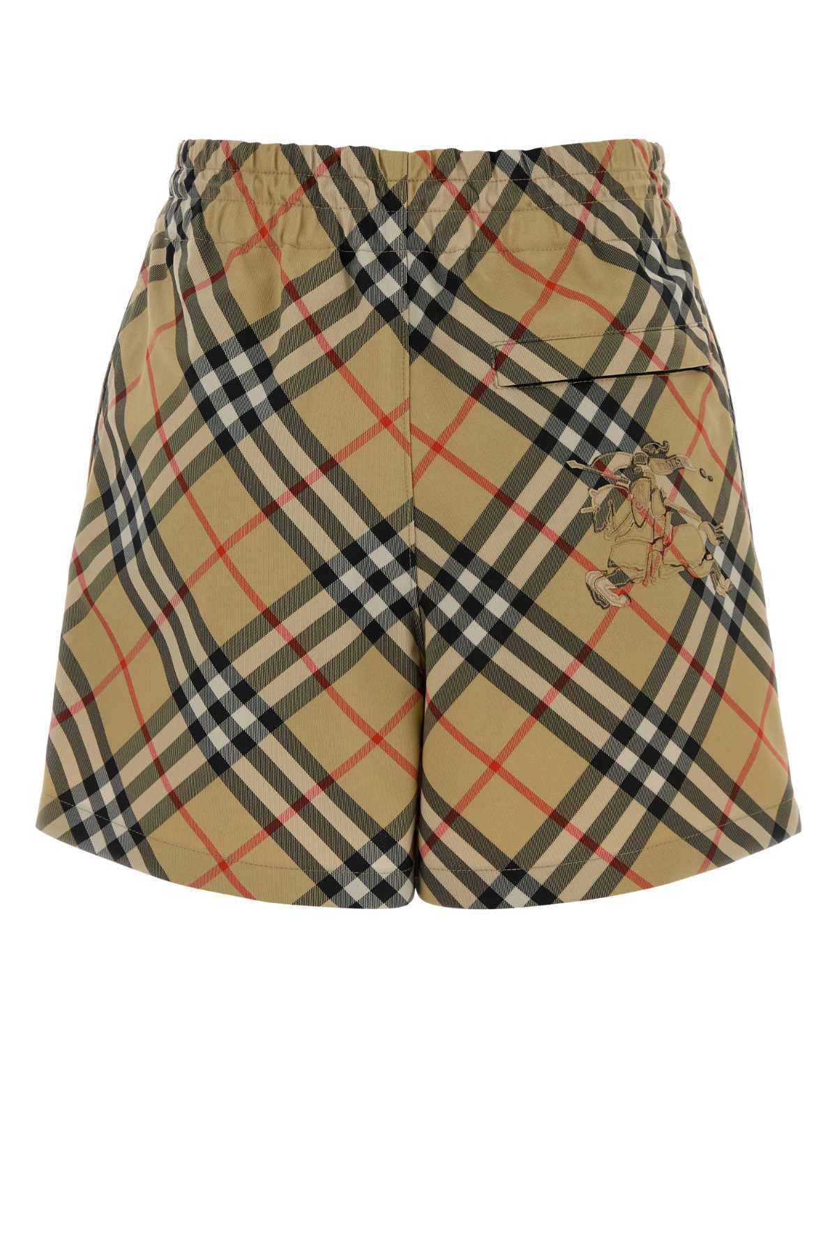BURBERRY 8106890B9368