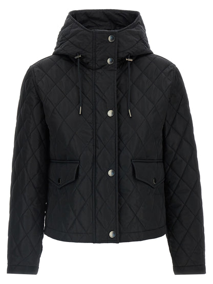'Pembroke' jacket Down jacket, Parka, Casual jackets