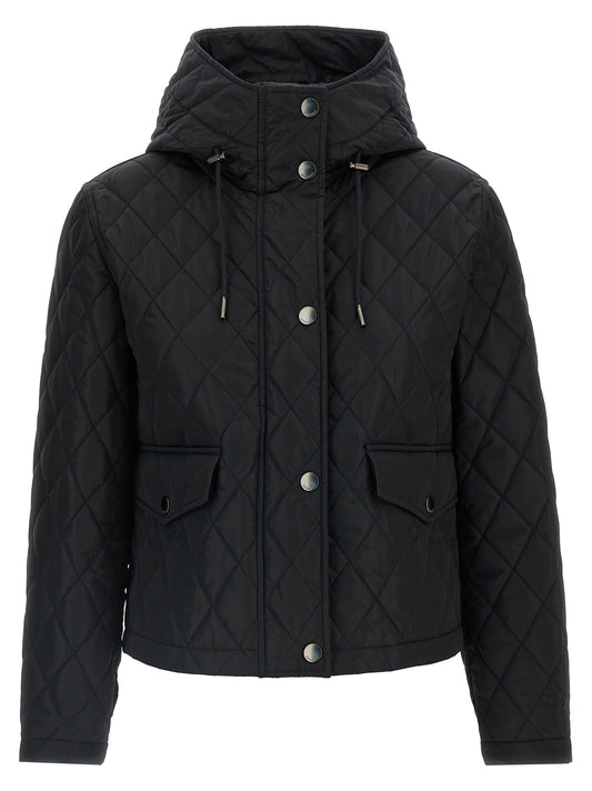 'Pembroke' jacket Down jacket, Parka, Casual jackets