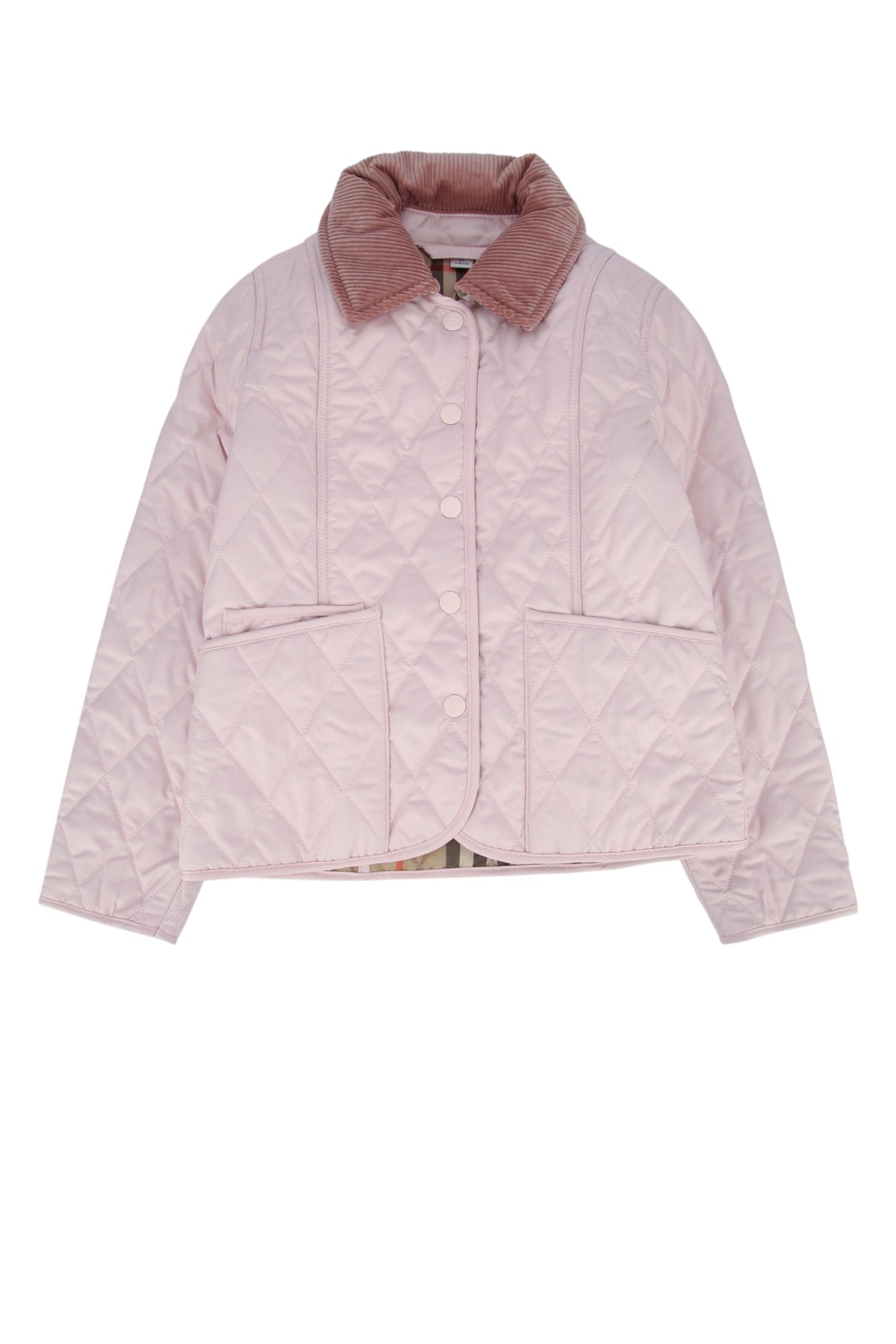 BURBERRY JR 8117288A1445