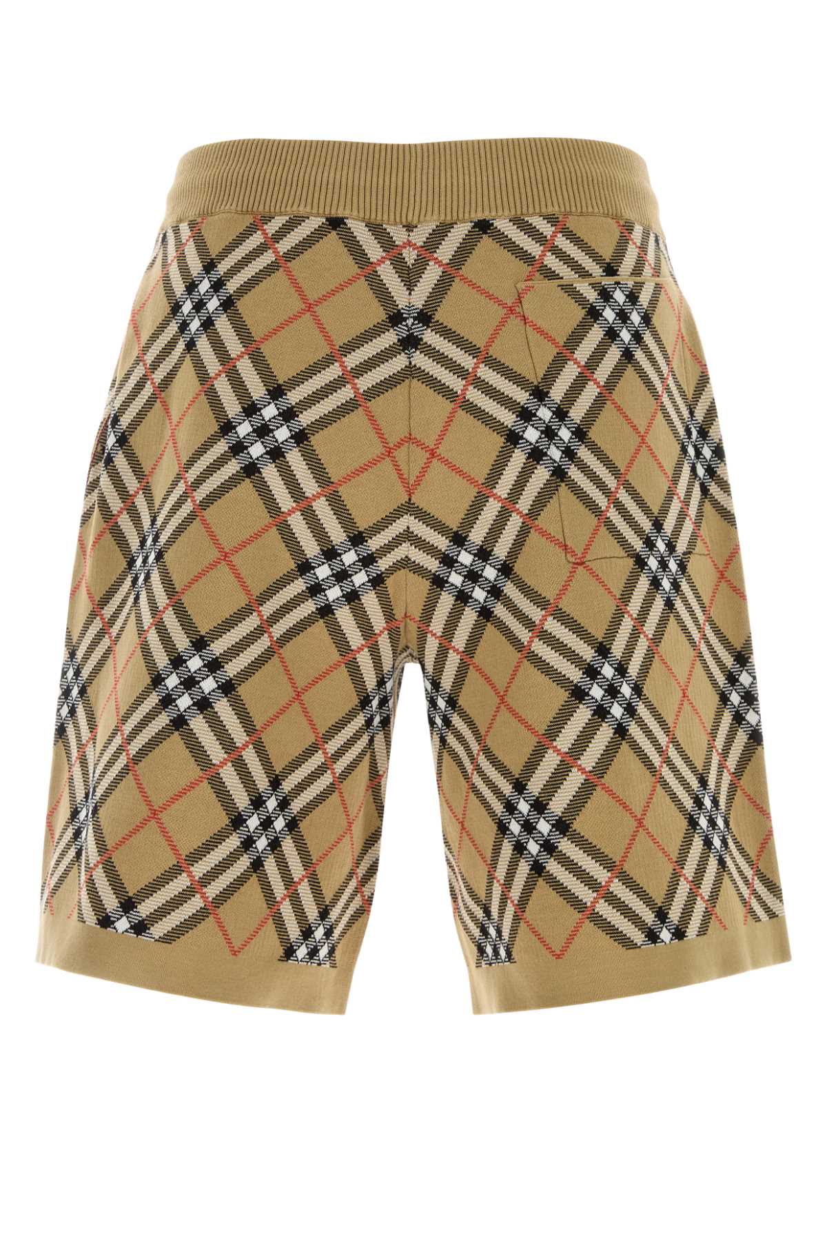 BURBERRY 8127791B9368