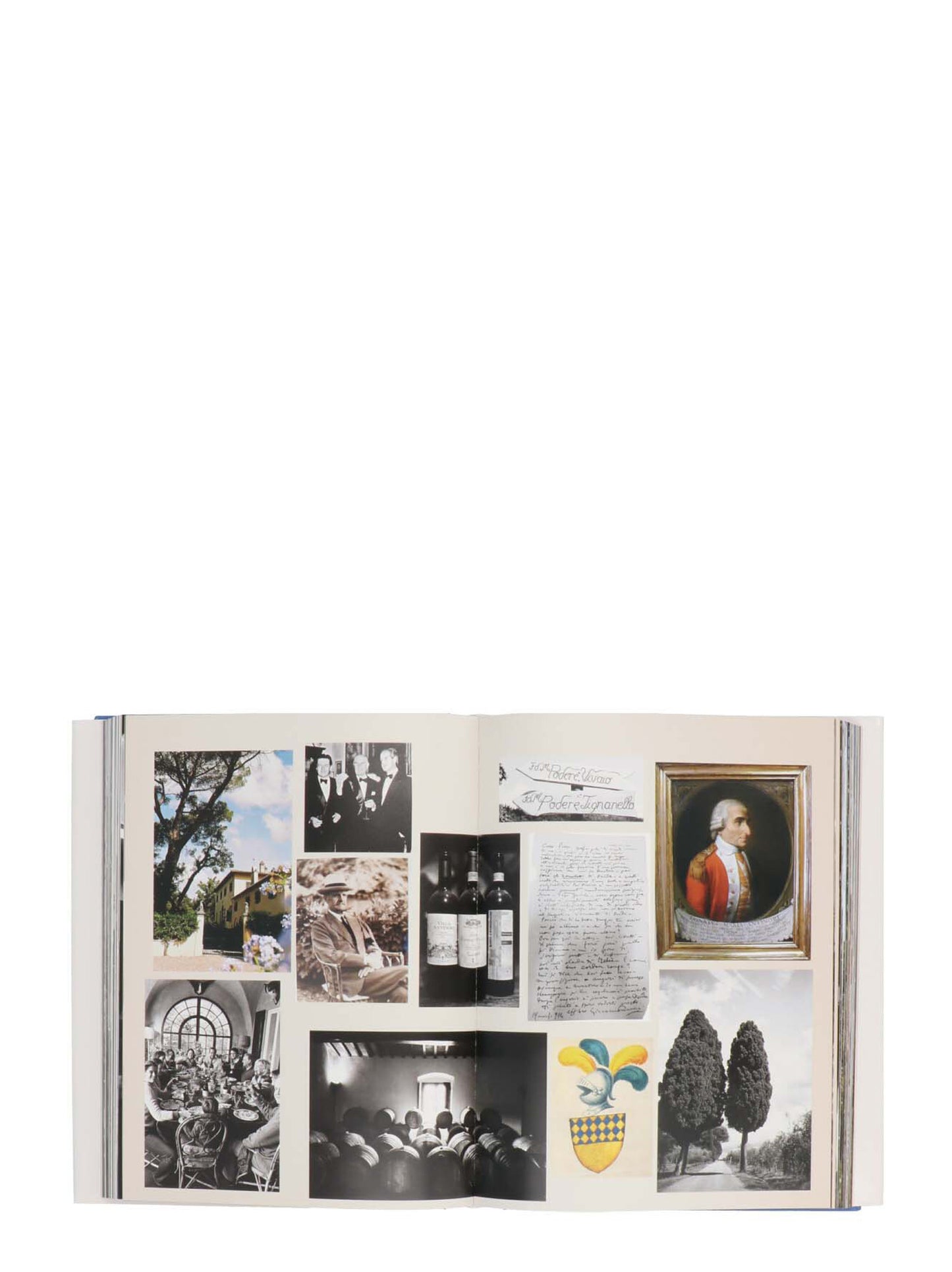 Book 'The Italian Dream' Books