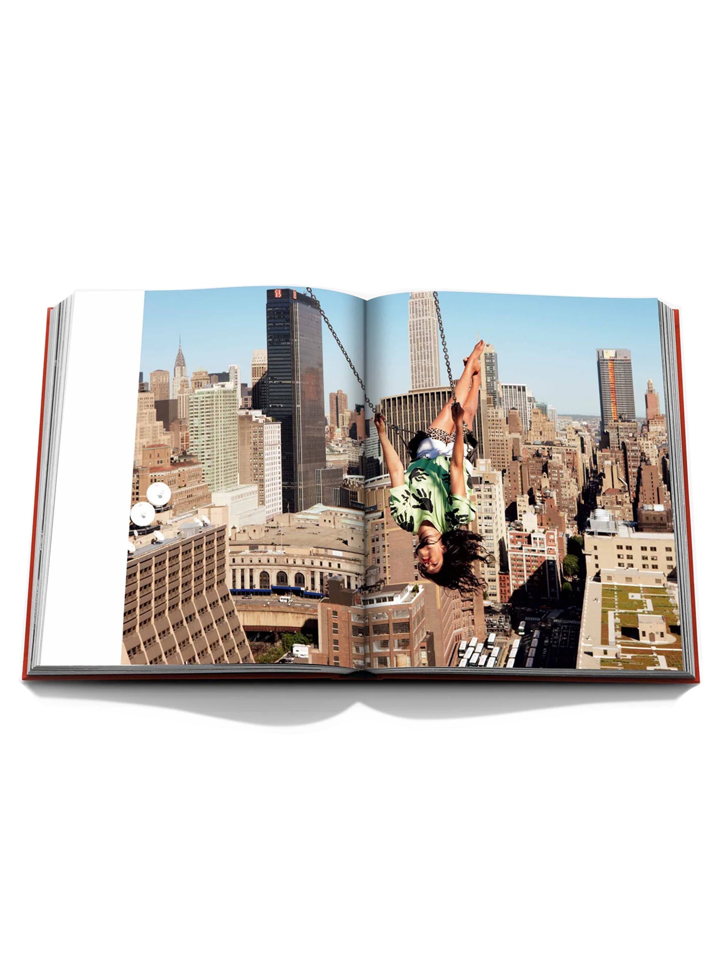 'New York by New York' book Books