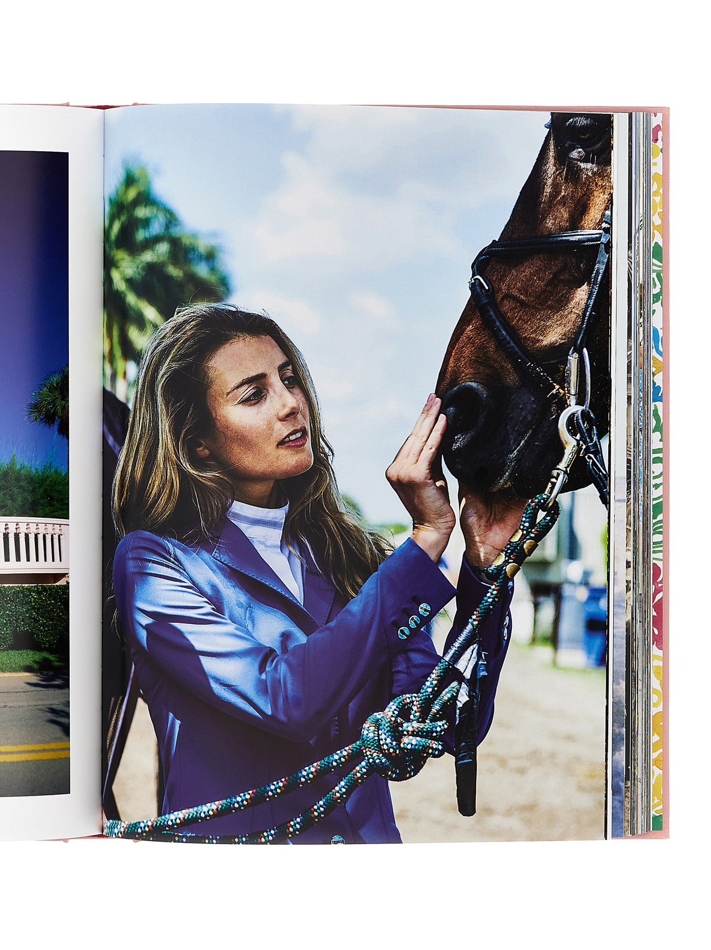 'Palm beach' book Books